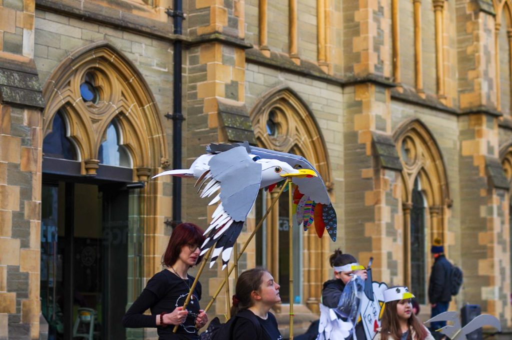 A gull puppet