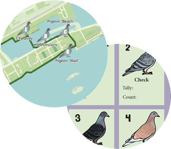 Example graphics from Pigeon Walk brochure